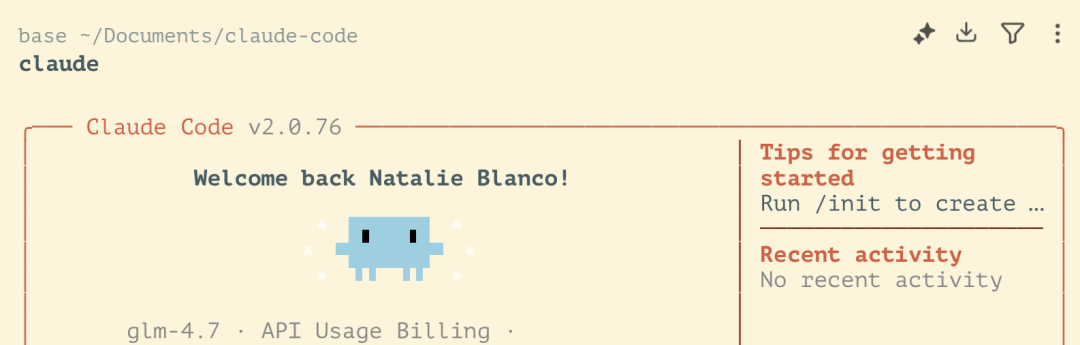 Claude Code 启动成功后的欢迎界面