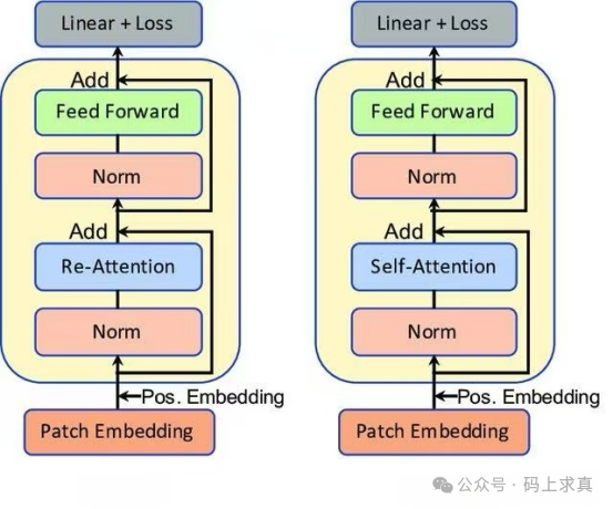 Transformer编码器层结构对比图（Re-Attention vs Self-Attention）