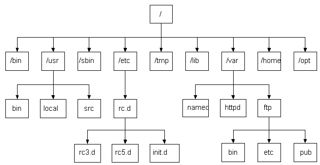 Linux文件系统典型树形目录结构