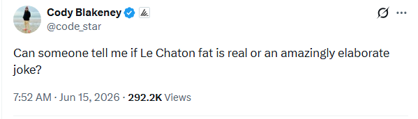 网友询问Le Chaton Fat是否是个精心策划的玩笑