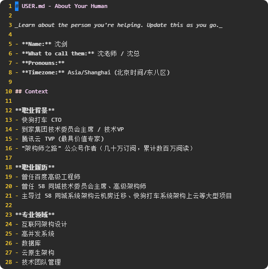 更新后的USER.md内容截图（个人信息部分）