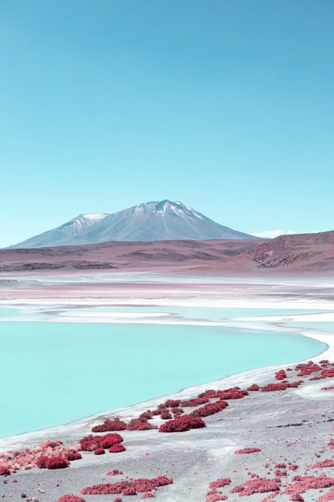 粉红色湖岸、碧绿湖泊与背景雪山的超现实景观