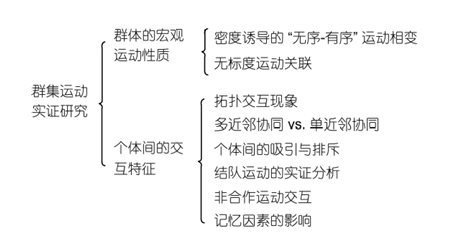 群体运动实证研究分类图