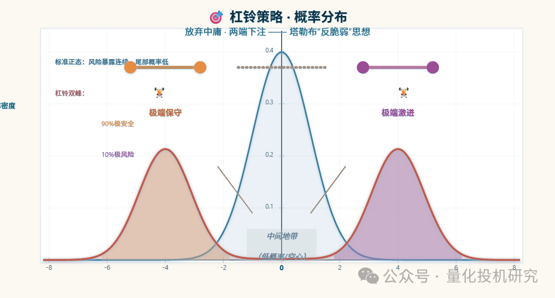杠杆策略与概率分布关系示意图