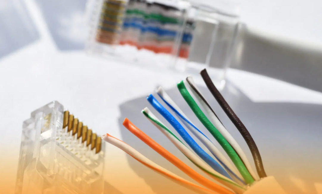 排列整齐等待插入的网线