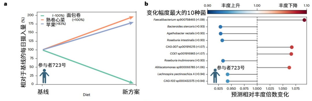 个体饮食调整前后摄入量及菌群变化示例图