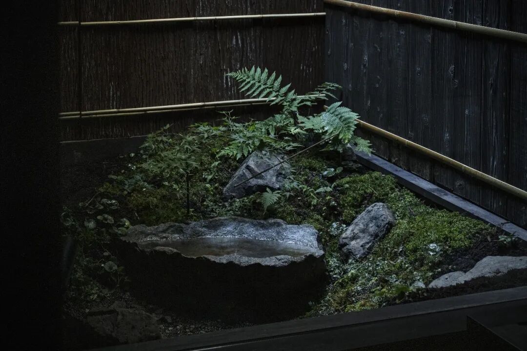 庭院绿植与石景