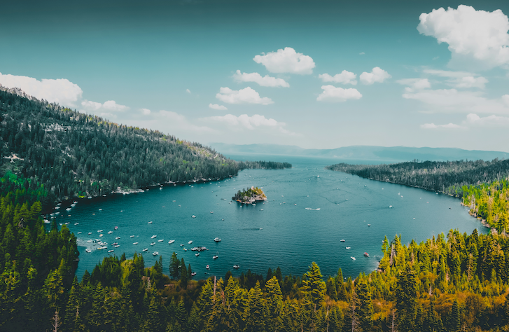 宁静的湖泊与针叶林风光