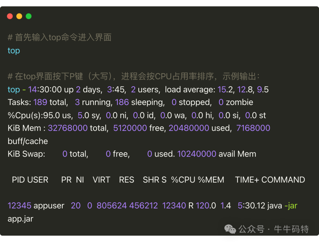 top命令输出示例