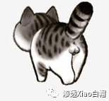 一只背对镜头、翘着尾巴的卡通猫