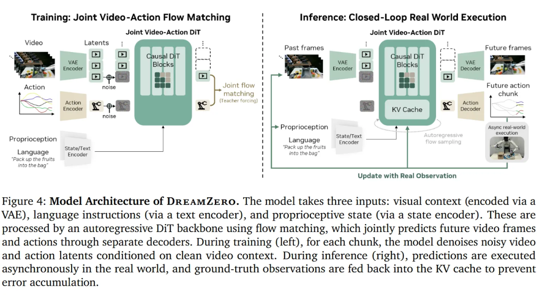 DreamZero模型架构图,展示训练与推理流程