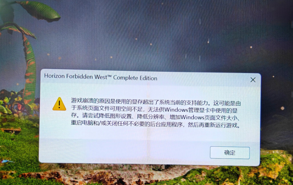 《地平线:西之绝境》游戏崩溃提示,显存不足