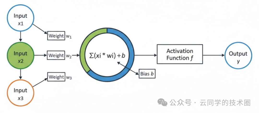 感知器模型结构:输入、权重、偏置求和与激活函数