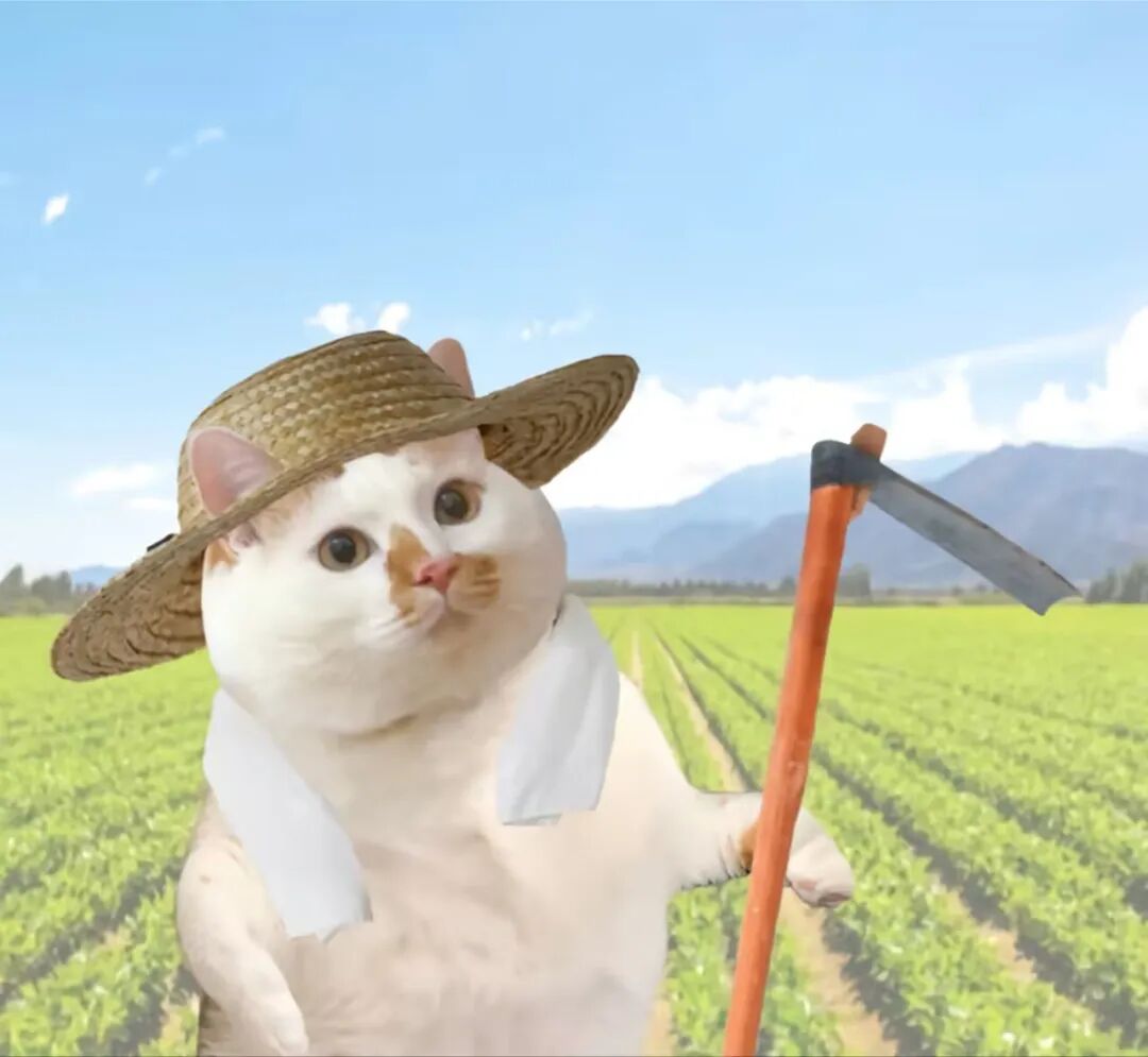 戴着草帽拿着锄头的猫