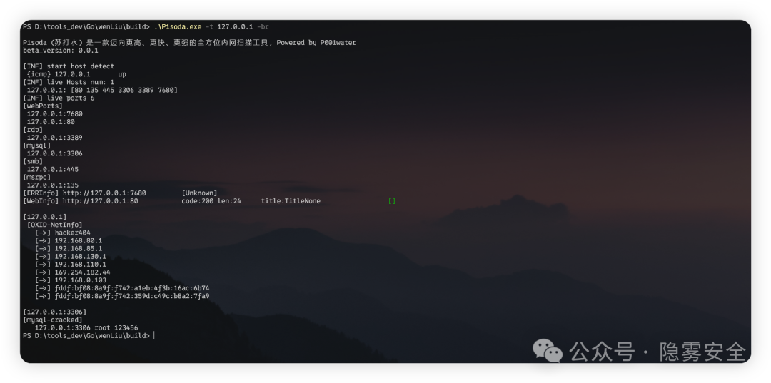 P1soda对本地主机进行服务爆破