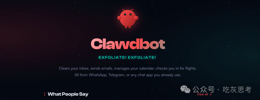 Clawdbot 项目概览界面