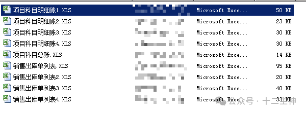 服务器上的项目科目与销售出库单Excel文件