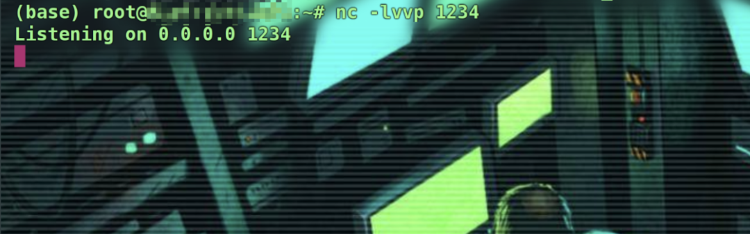 VPS上启动Netcat监听