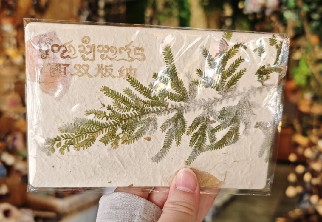 西双版纳象粪纸卡片