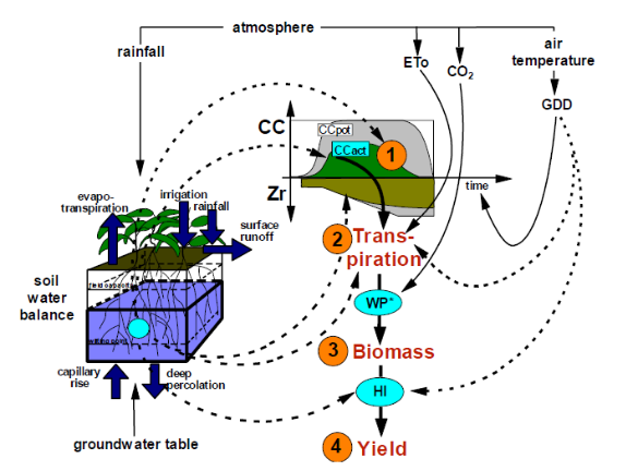 农业生态系统模型图
