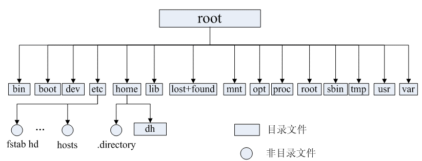 Linux根目录树状图：含bin、boot、dev、etc、home、lib、lost+found、mnt、opt、proc、root、sbin、tmp、usr、var等子目录