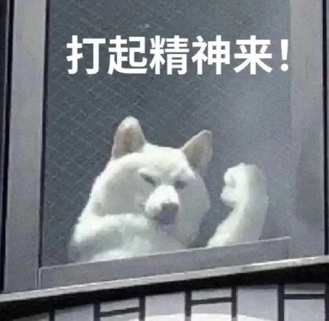 卡通柴犬趴在窗台上为自己打气的表情包