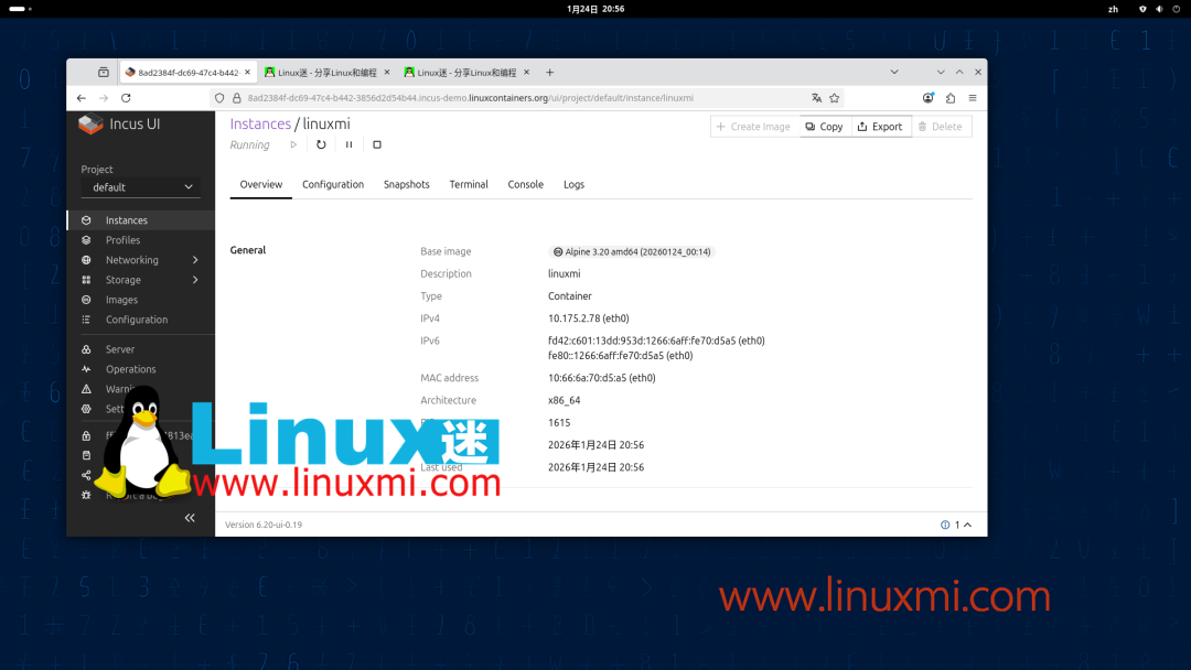 Incus UI管理界面查看容器详情