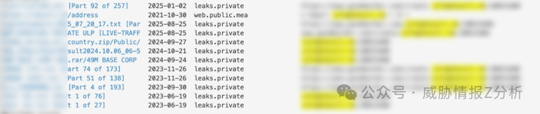 泄露的文件列表