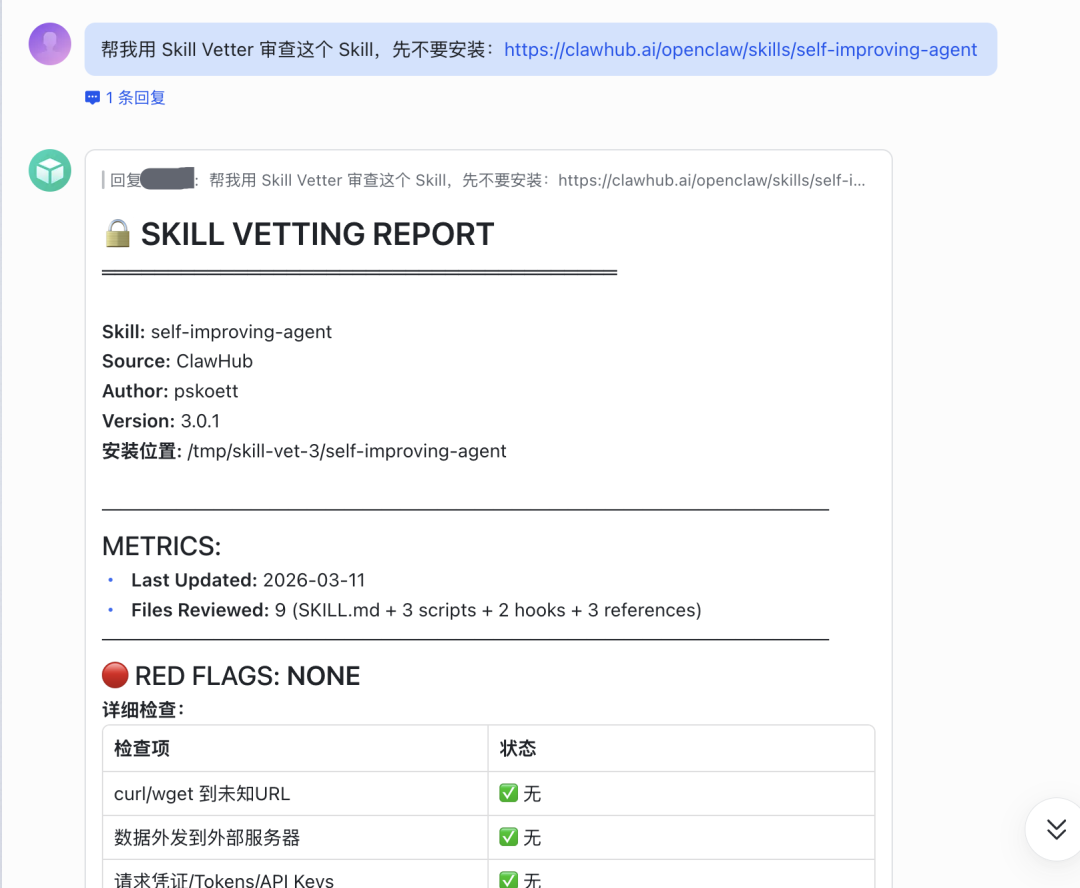 中等风险Skill的审查报告截图（第一部分）