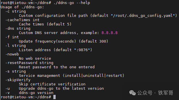 执行ddns-go --help查看命令参数