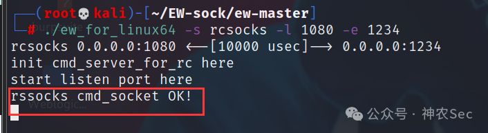 Kali 收到 socks 连接
