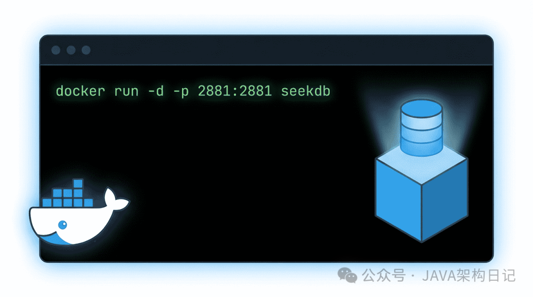 Docker 运行 SeekDB 命令截图