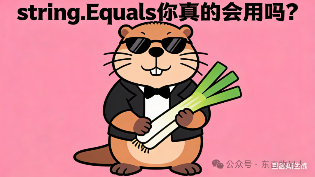 string.Equals 重载版本选择流程图