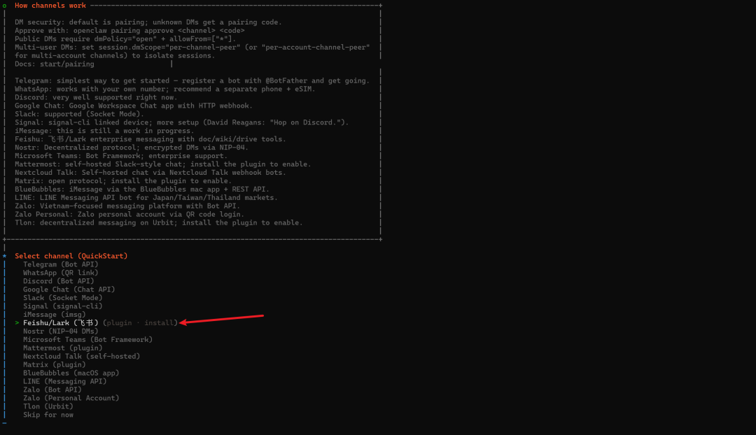 渠道选择界面,选中Feishu/Lark (飞书)