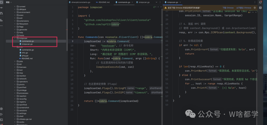 客户端ICMP扫描命令实现代码