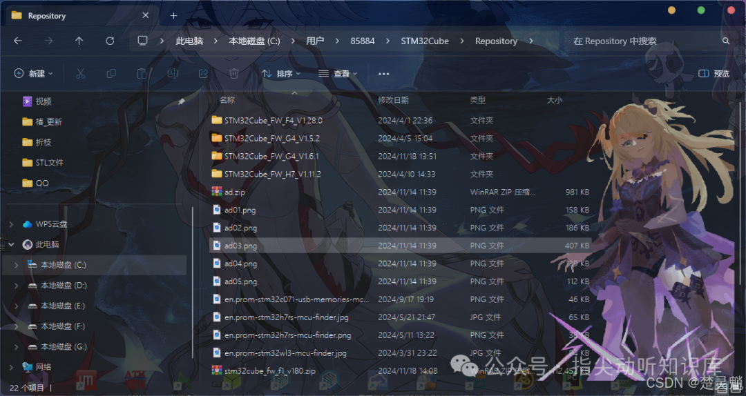 Repository目录内容