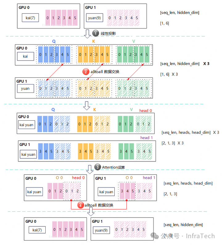 Ulysses序列并行下的多头注意力计算流程