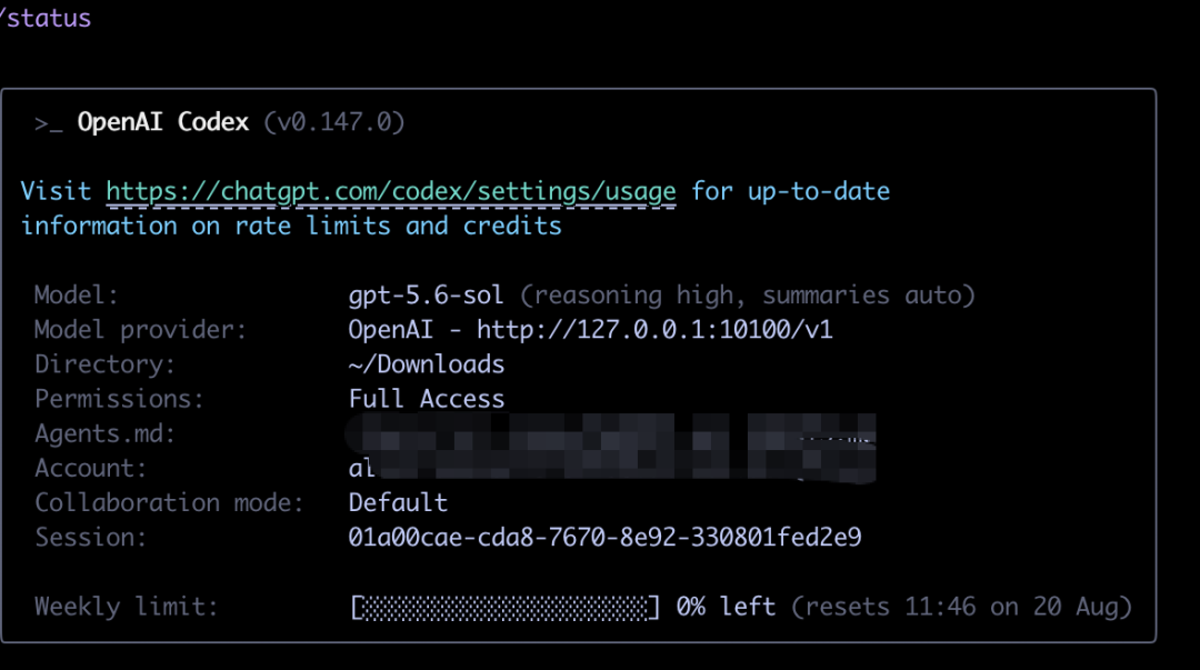 Codex 终端状态信息,未显示 1M 上下文窗口配置