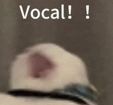 配文“Vocal!!”的模糊动物表情包