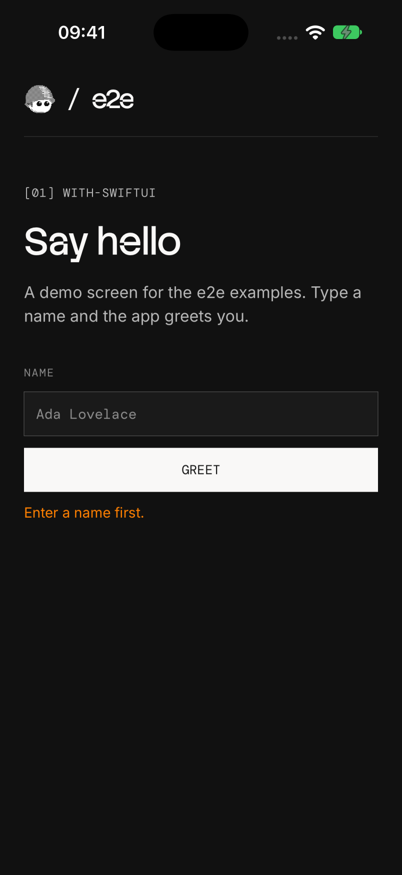e2e SwiftUI 示例错误校验场景