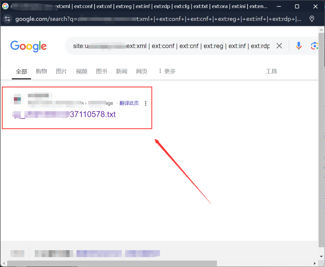 Google 搜索敏感文件扩展结果