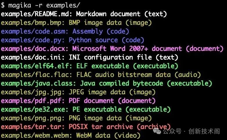 Magika命令行文件类型识别输出截图