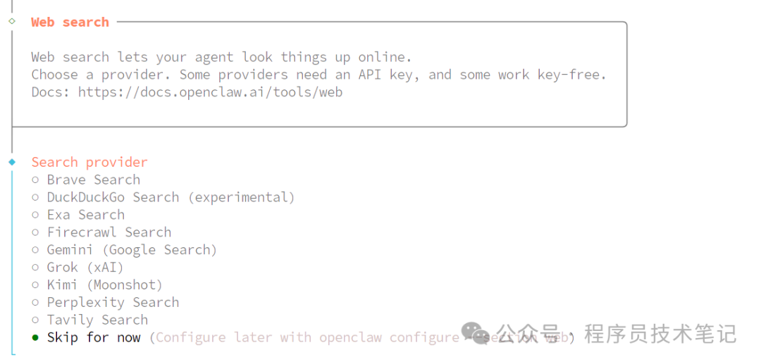 选择网络搜索提供商