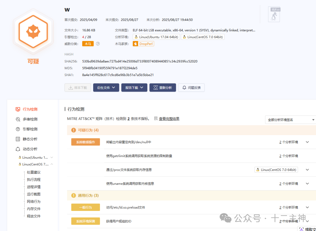 w文件的恶意行为分析报告