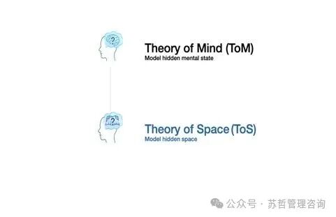 Theory of Mind (ToM) 与 Theory of Space (ToS) 概念对比图