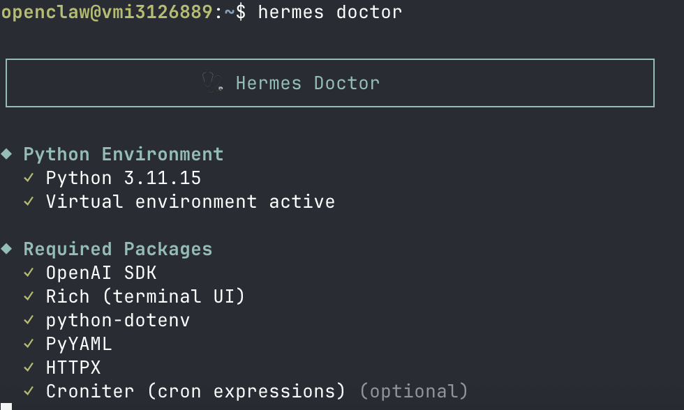 执行 hermes doctor 命令检查环境