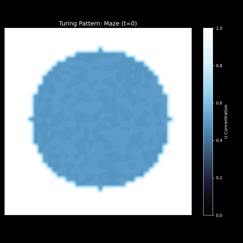 迷宫图案演化过程：从中心扰动到复杂网络结构