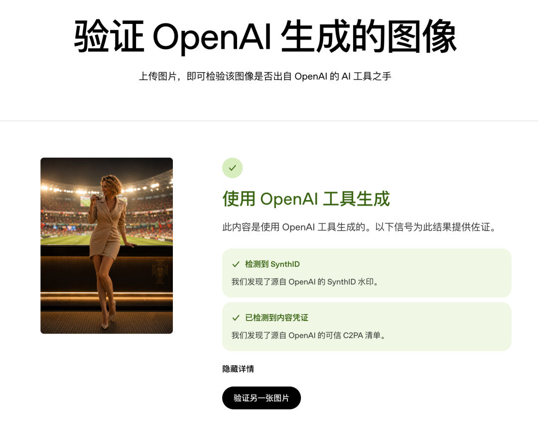 OpenAI图像验证界面