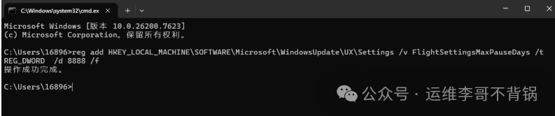 CMD中执行注册表修改命令