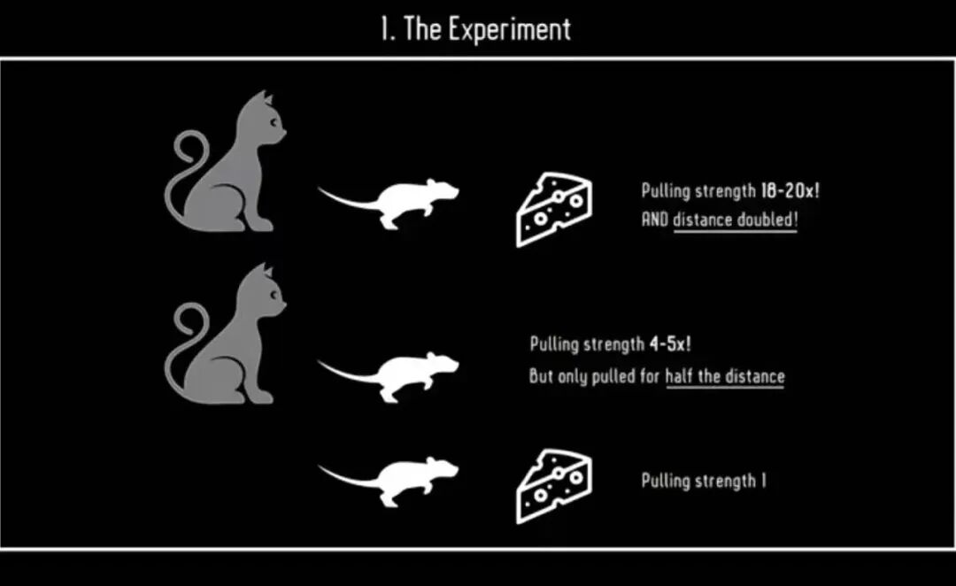实验对比图:目标与动力关系
